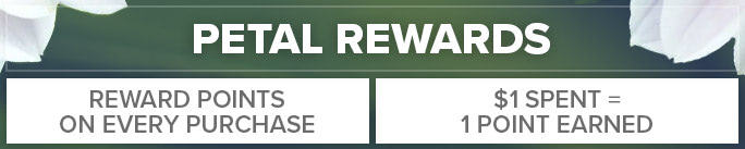 Earn Reward Points On Every Purchase