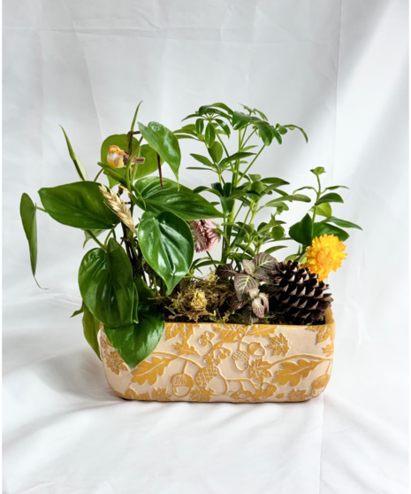 Living Autumn Fall Planter