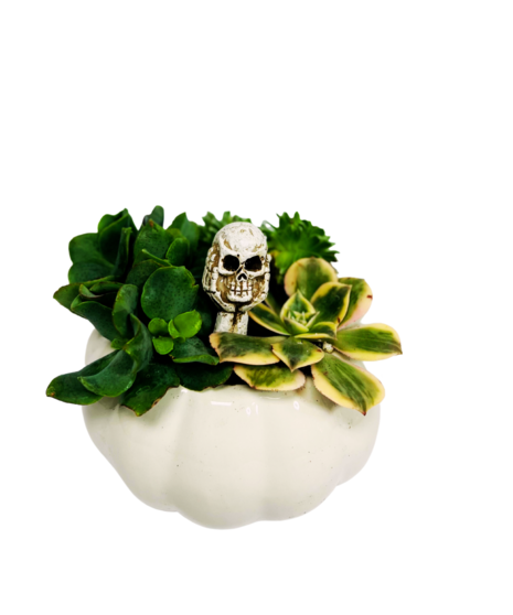 Pumpculent