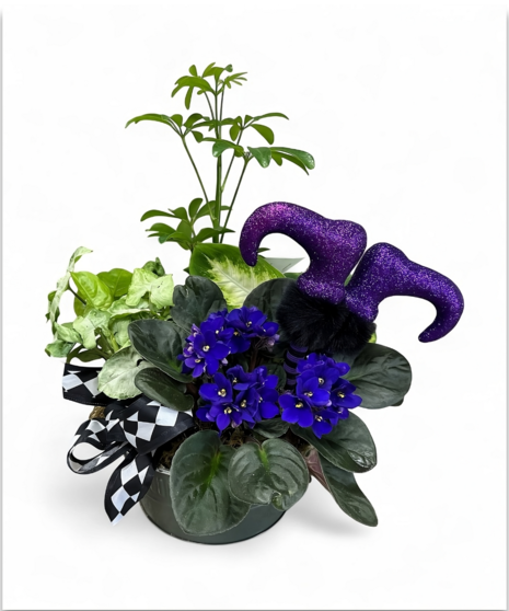 Haute Halloween Plants