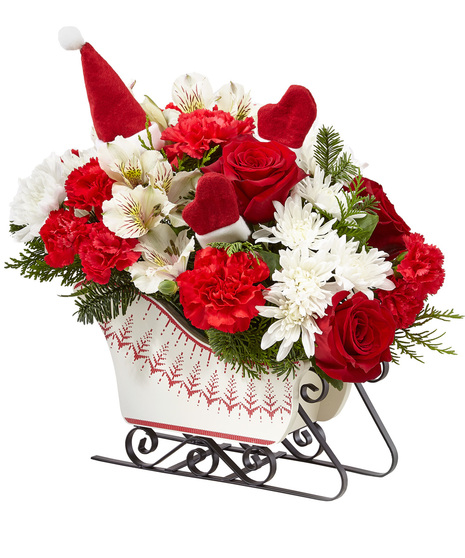 Holiday Perfection Sled