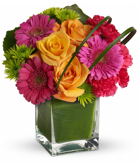 Seasonal Colors Party Girl-Bridges To Change