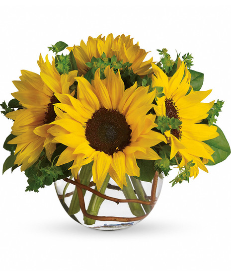 Sunny Sunflowers - Pet Friendly-Bridges To Change