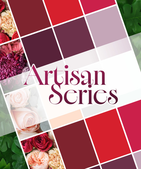 Artisan Series - Choose A Color Palette