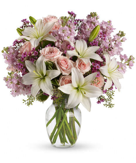 purple and pink flowers