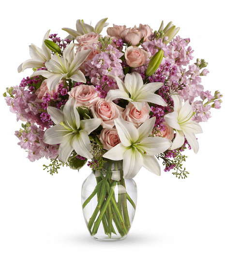 purple and pink flowers