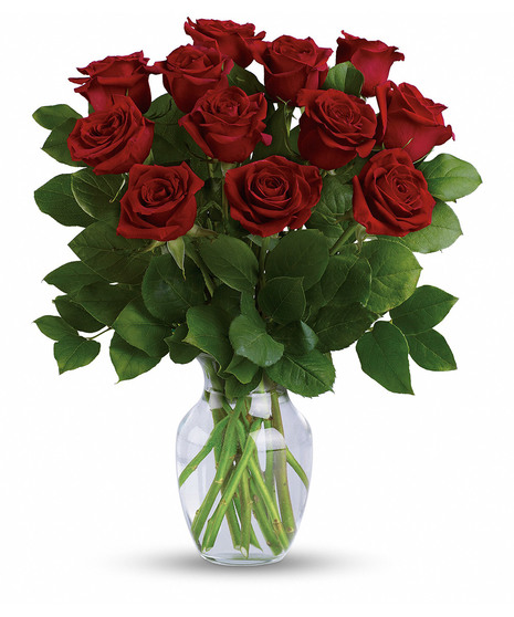 dozen long-stem roses
