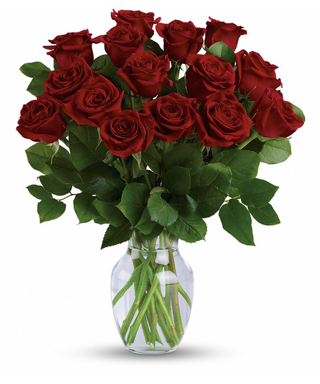 dozen long-stem roses