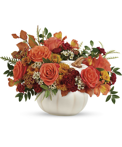 Enchanted Harvest