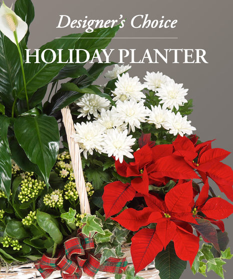 Holiday Planter - Designer's Choice