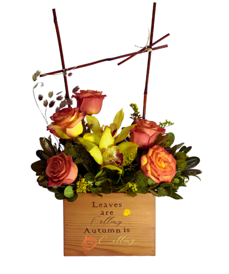 orchids and roses in modern floral arrangement