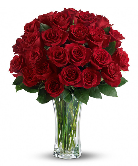 Love and Devotion - Long Stemmed Red Roses