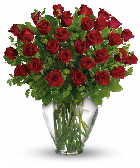 long-stemmed red roses