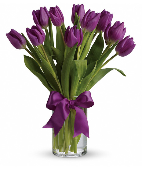 Passionate Purple Tulips