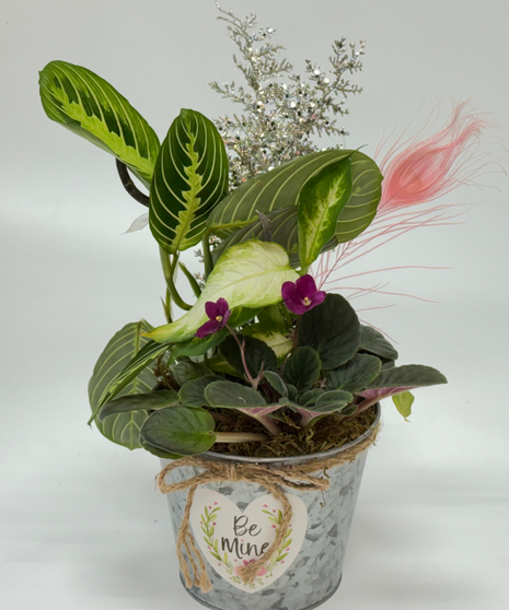 Be Mine Plant Duo - Small Dish Garden
