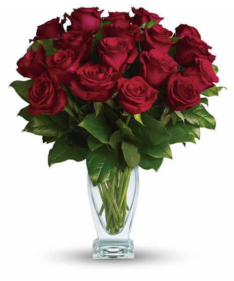 classic dozen red roses