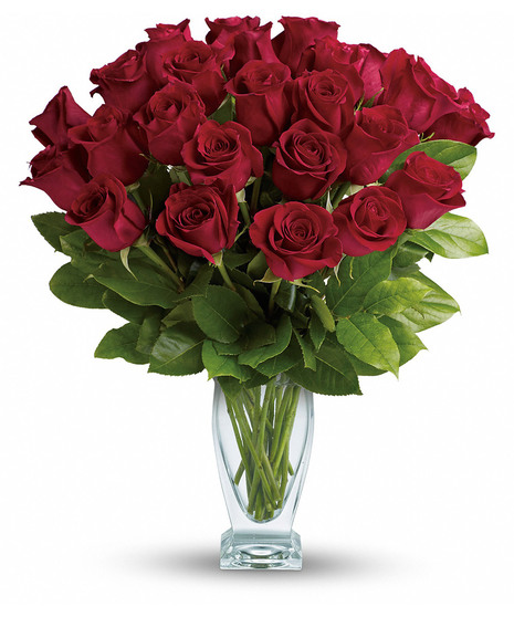 classic dozen red roses
