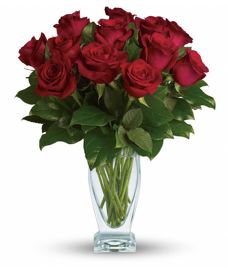 classic dozen red roses