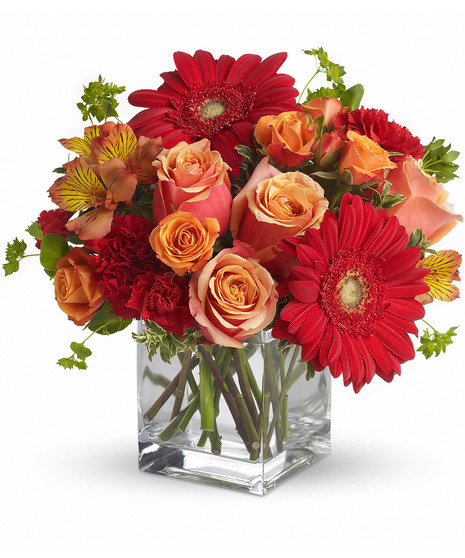 Just Because Flowers