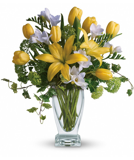 Spring Rhapsody