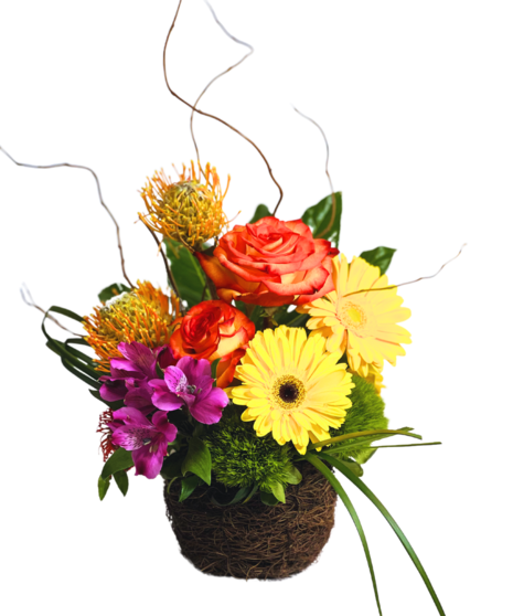 Tropical Flowers
