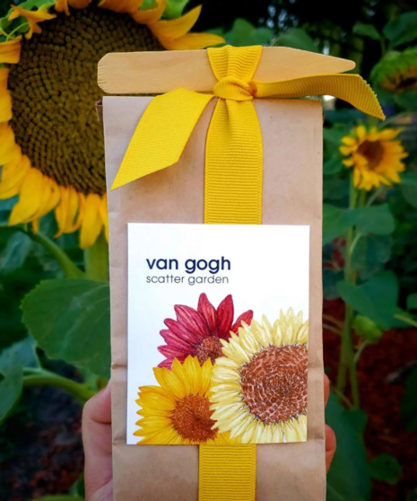Sunflower Garden