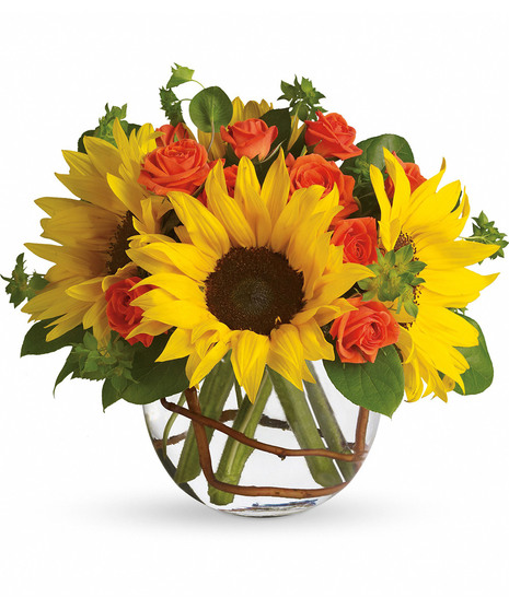 Sunny Sunflowers - Pet Friendly