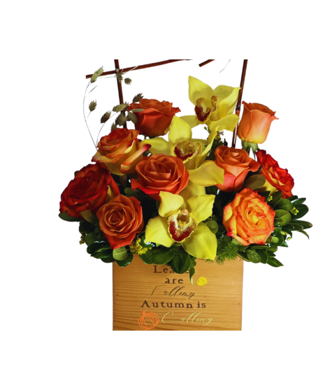 orchids and roses in modern floral arrangement