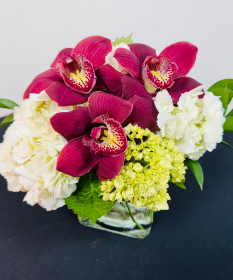 Hydrangea Heaven - With Cymbidium Orchid