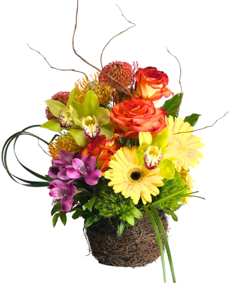 tropical arrangment in contemporary vessel