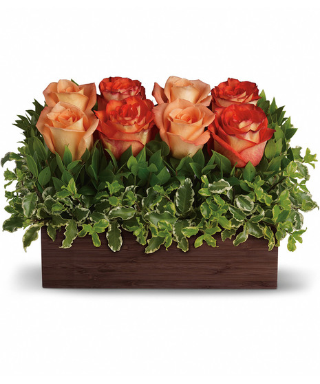 Roses