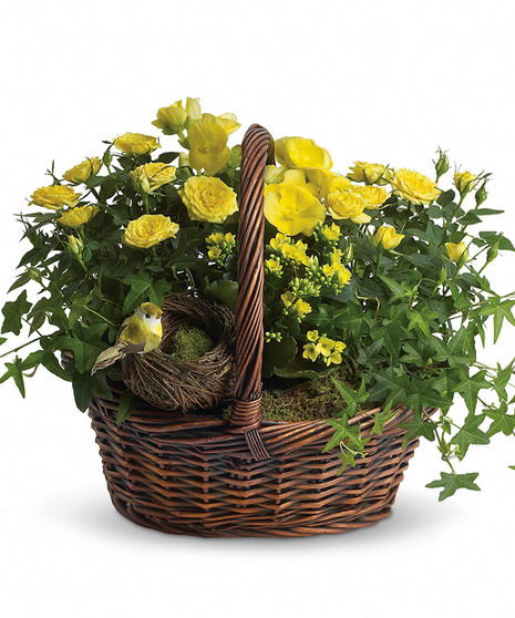 Yellow Trio Basket