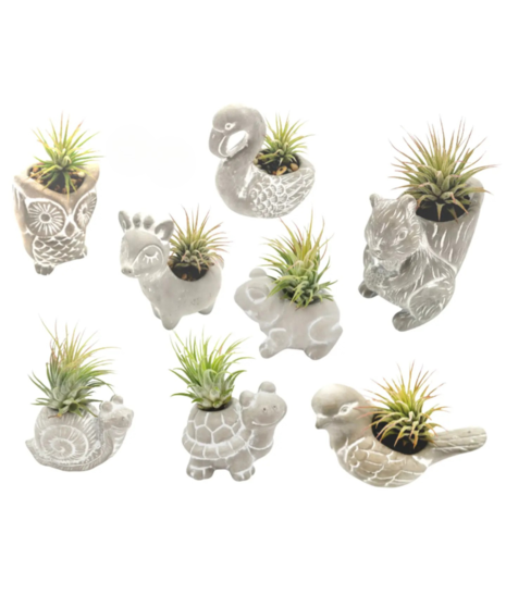 Flora Friends