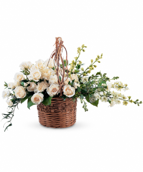Basket of Light