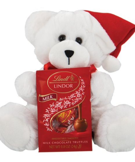 Santa Bear With Chocolate