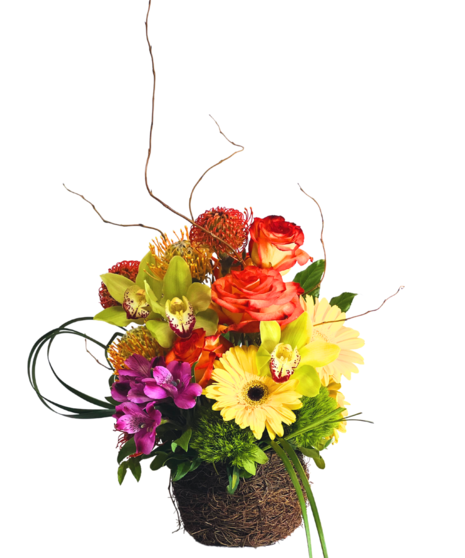 tropical arrangment in contemporary vessel