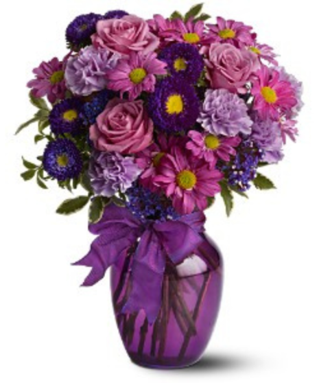 Lavender Everlasting