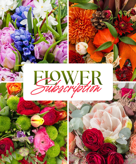 Seasonal Mixed Bouquet - Monthly Subscription