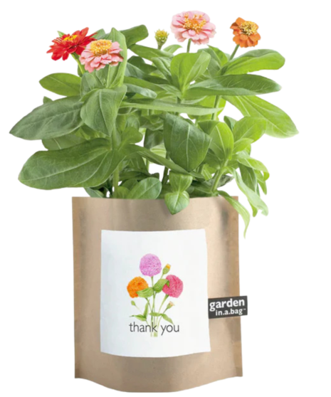 Garden In A Bag