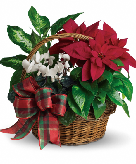 Holiday Homecoming Basket