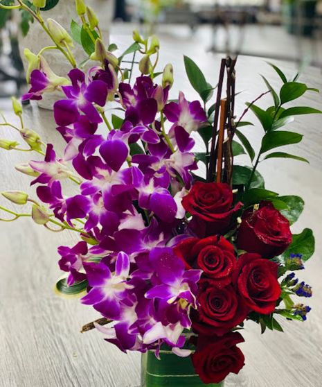 Orchid Rose Beauty-Pet Friendly