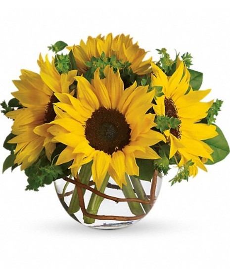 I'm Sorry Flowers